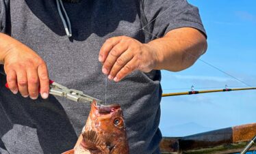 Fisher man with black hat with fish in hands